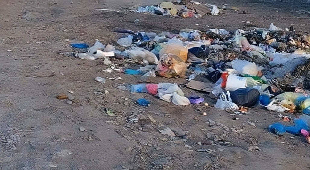 Biləsuvar sakinlərindən qanunsuz saxlanılan odlu silahlar götürüldü - FOTOLAR